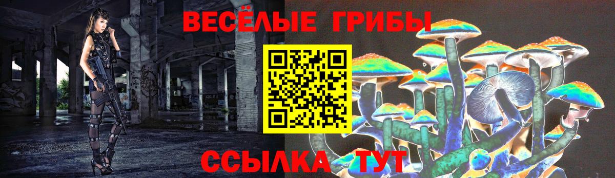 Галлюциногенные грибы Psilocybe  Галлюциногенные грибы ЛСД  Вход с VPN  Кандалакша 